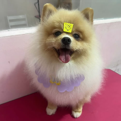 Cuidado e carinho no atendimento